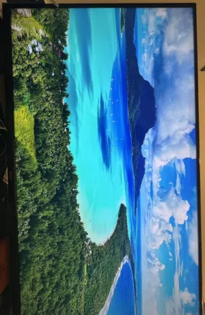 Wansa smart tv
