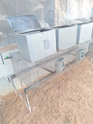 سلام عليكم قفص ارنب لي البيع اقراء الوصف