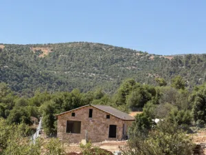 3 Bedrooms Farms for Sale in Jerash Debbin
