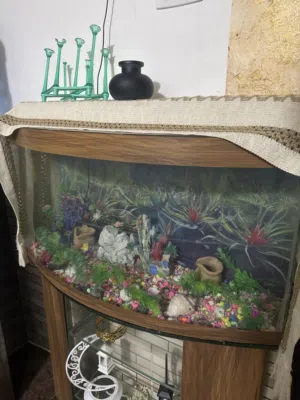 حوض سمك للبيع مقاس كبير