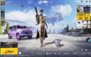Pubg Accounts and Characters for Sale in Basra