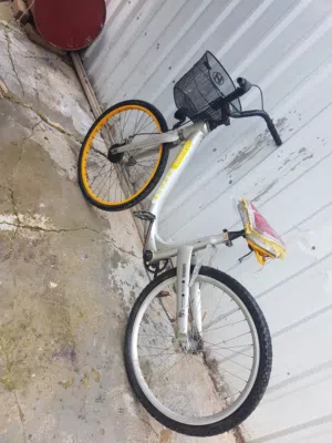 بسكليت هولندي 26