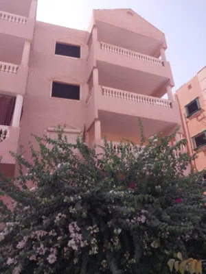 Apartment . Egypt . Landlord2