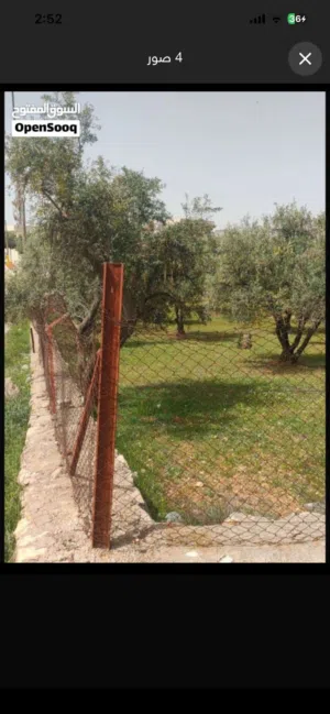 Residential Land for Sale in Amman Naour
