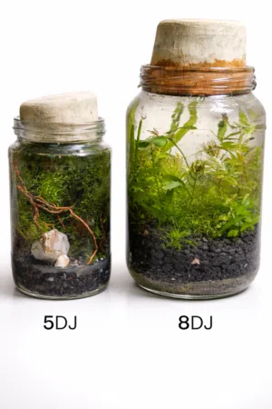 تيراريوم      .