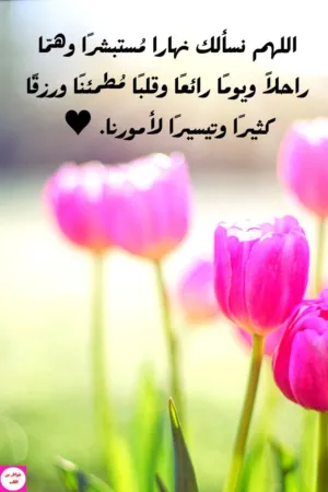 خليل عيد ابراهيم ديك 