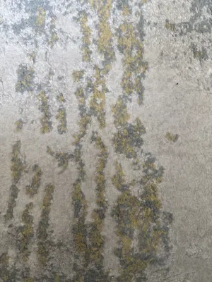 2 m2 2 Bedrooms Apartments for Rent in Ramallah and Al-Bireh Al Baloue