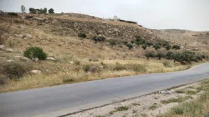 للبيع في السلط المغاريب نمر مساحة 350 متر جميع الخدمات متوفره