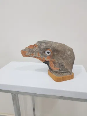 صخرة على شكل وجه طائر
