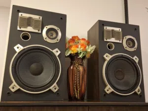 pioneer speakers  for sale