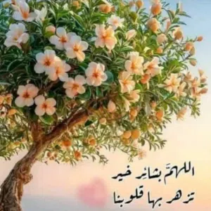 ارضَ بما قسمه الله لك تكن أغنى الناس Ali