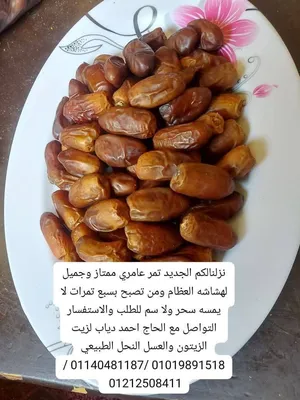 ‏تمور‏1