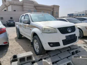 Used Great Wall Other in Dubai