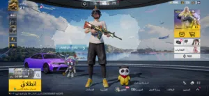 Pubg Accounts and Characters for Sale in Basra