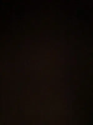 الرياني
