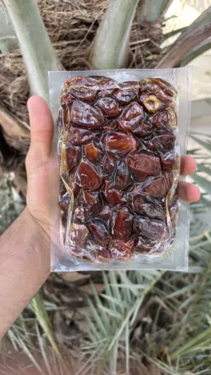 تمر خلاص مضغوط حبه كبيره 1ریال و تمر خلاص مقلود1ریالللعلبه و تمر فرض مقلود  1ریال سطل خلاص 10ریال