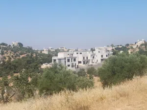 بدر الجديده أجمل مناطق عمان الغربية 1500م سكن ج أخضر