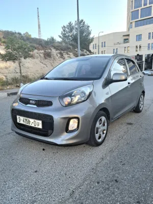 كيا بيكانتو 2017 دهان الشركة