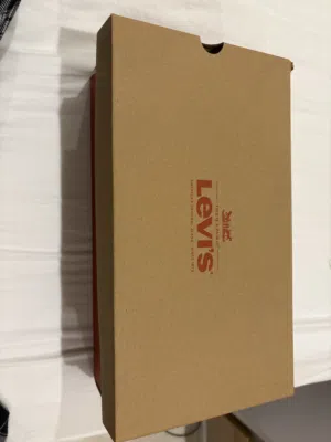 Levi’s shoes