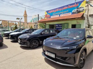 New Dongfeng Sky EV01 in Irbid