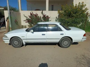 مارك كصيف مديل 1991