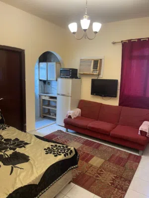 45 m2 Studio Apartments for Rent in Sharjah Al Butina