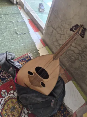 عود خشب نقيب وعتيق