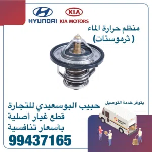 منظم حرارة الماء (ثرومستات) وكالة (هيونداى/كيا)