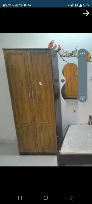 مطوب بنتين لمشاركة سكن