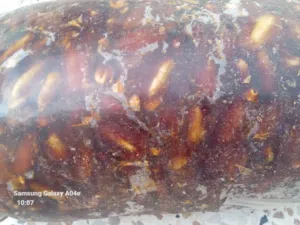 سعر تمر تمجوهرت (تقريبي في الجزائر