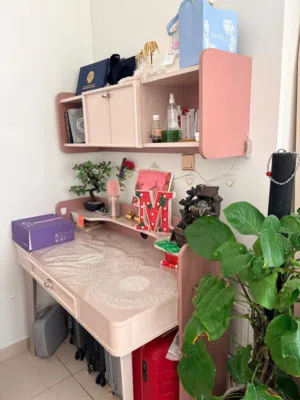 furniture haul