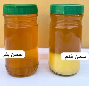سمن بقر - غنم عماني