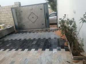 قطعة ارض مشجرة بها استديو