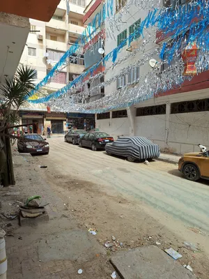 250 m2 . Landlord0