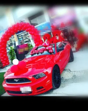 Ford . Mustang . Daily1