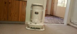 صوبه يابانيه نوع كورونا