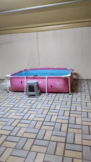 للبيع حوض سباحه للاطفال
