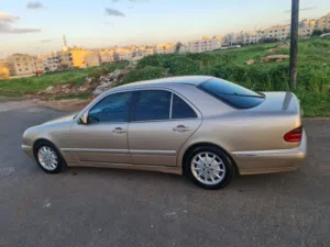 قرش ونص 2001