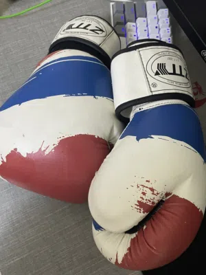 قفازات ملاكمة - ztt - everlast عدد 3