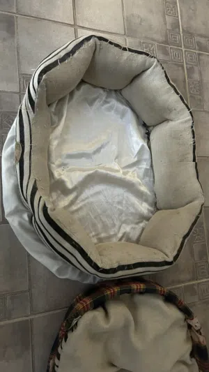 2 سرير للقطط نظيف مستعمل