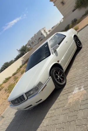 كادلك سبورت شغال و كل شي