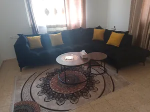 Living Room Furniture . Used1