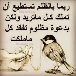 علاء الشريف 