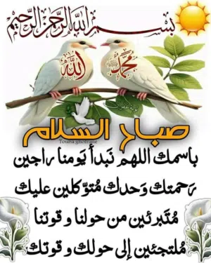 استوديو للايجار اجانب فقط