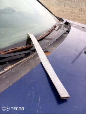مطلوب مسنن حساس كولوا