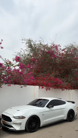 Used Ford Mustang in Al Batinah