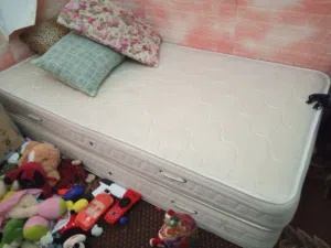 فرشتين مفرد ريم