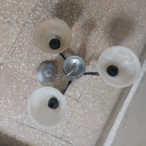 ثريا  شغالة على الفحص