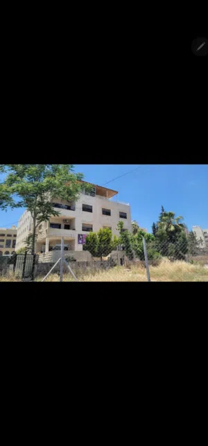 80 m2 2 Bedrooms Apartments for Rent in Amman Shmaisani