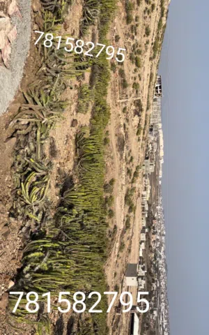 مفرق ماويه  خلف اراضي للبيع ارض مضمونه معمده هنا تبدا السعار على حسب القطعه وعلى حسب الشارع خليك ذكي